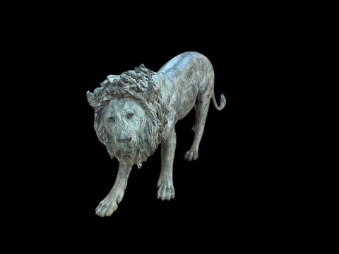 Bronze life sized model of an adult male lion standing on all fours, 97cm high, 224cm nose to tail. thumbnail