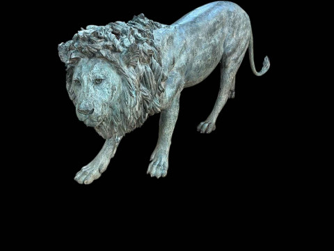 Bronze life sized model of an adult male lion standing on all fours, 97cm high, 224cm nose to tail. thumbnail