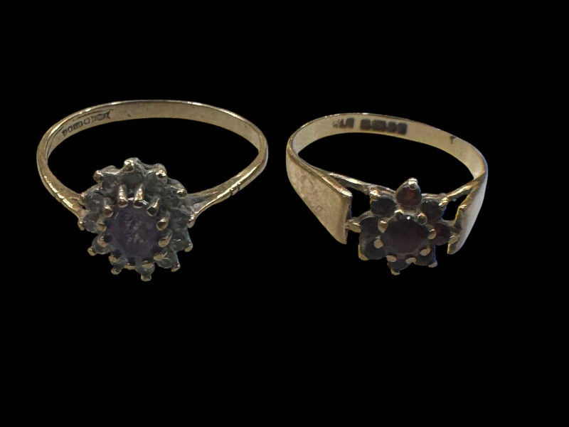 Two 9 carat gold gem set rings.