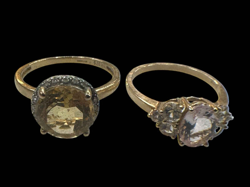 Two 9 carat gold gem set rings.