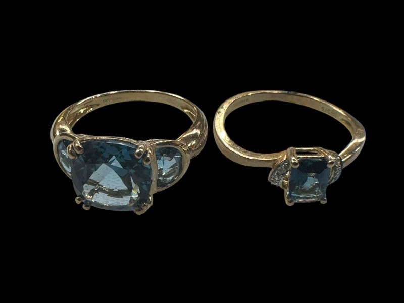 Two 9 carat gold gem set rings.