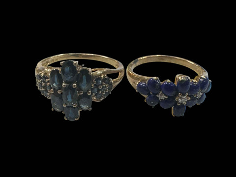Two 9 carat gold gem set rings.