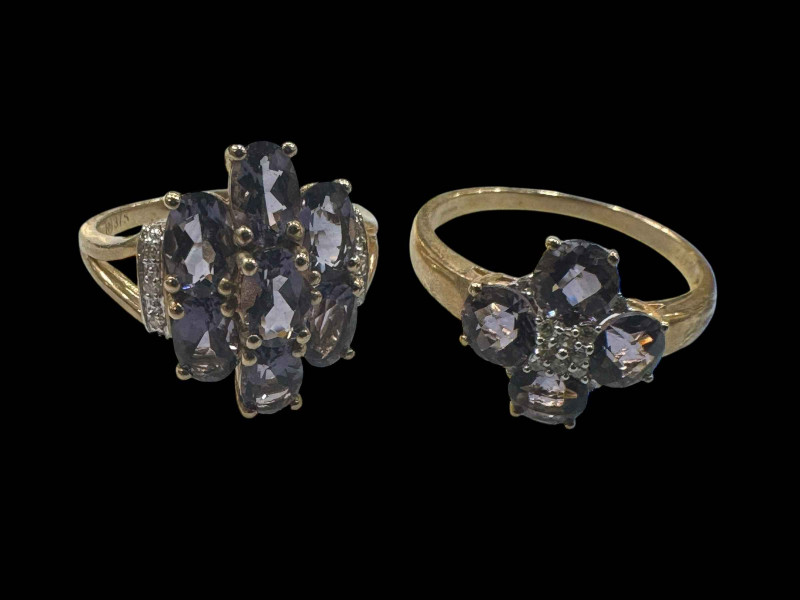 Two 9 carat gold gem set rings.