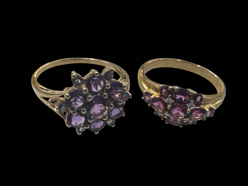 Two 9 carat gold gem set rings.