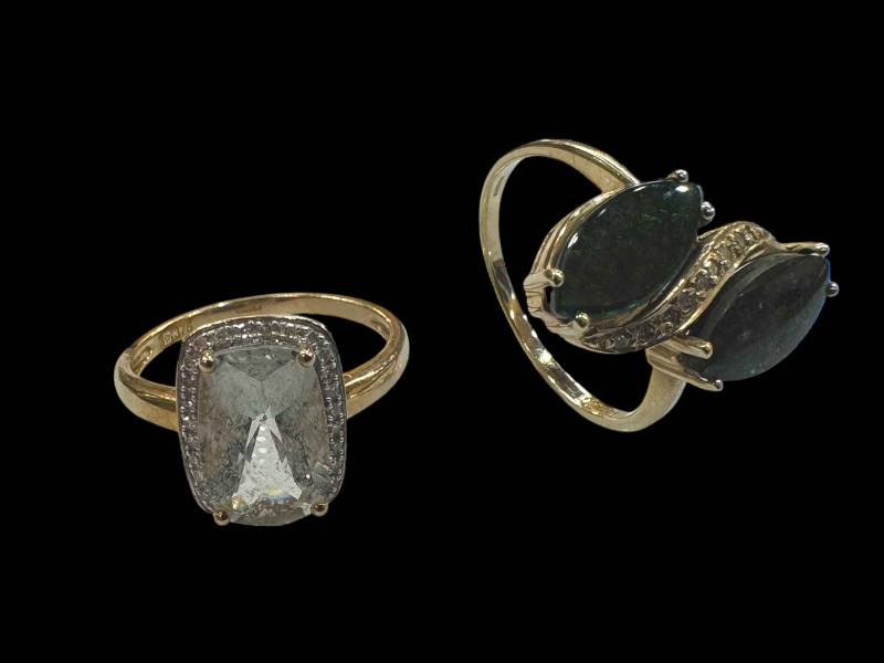 Two 9 carat gold gem set rings.