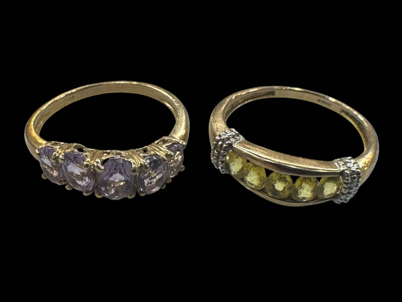 Two 9 carat gold gem set rings.