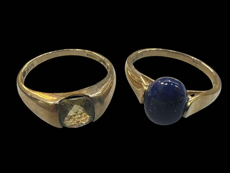 Two 9 carat gold gem set rings.