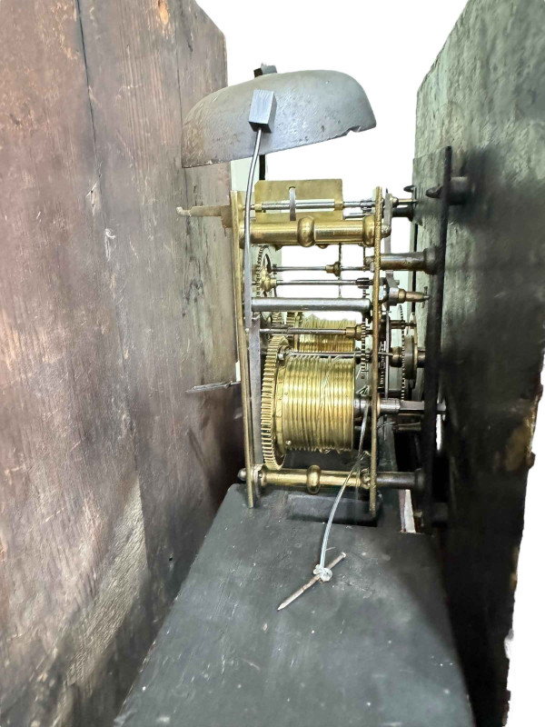 Antique oak and mahogany eight day longcase clock having floral and fruit painted square dial, 203cm.