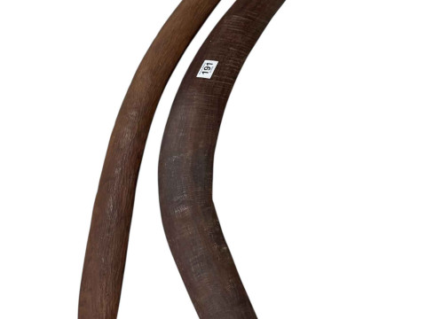Two Australian boomerangs.