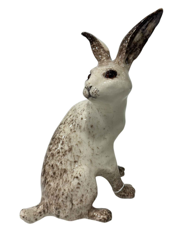 Winstanley hare, size 6.