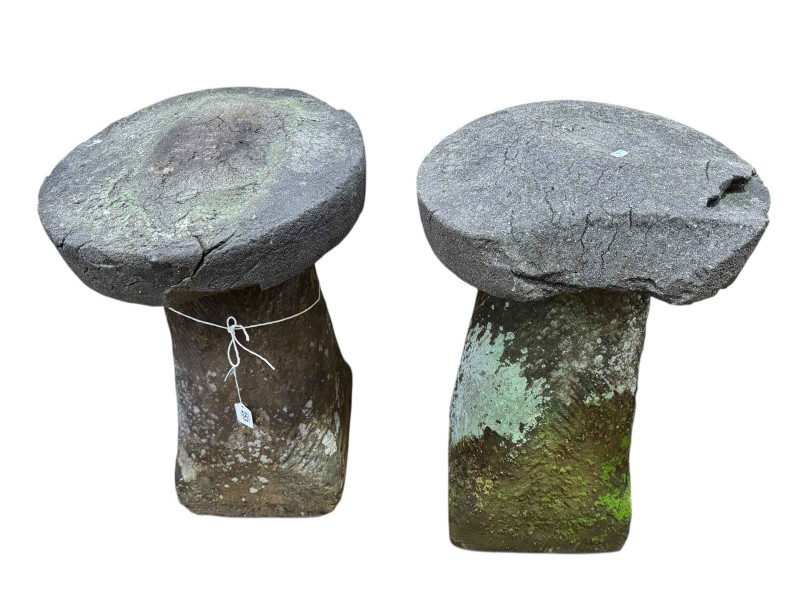 Pair weathered staddle stones.