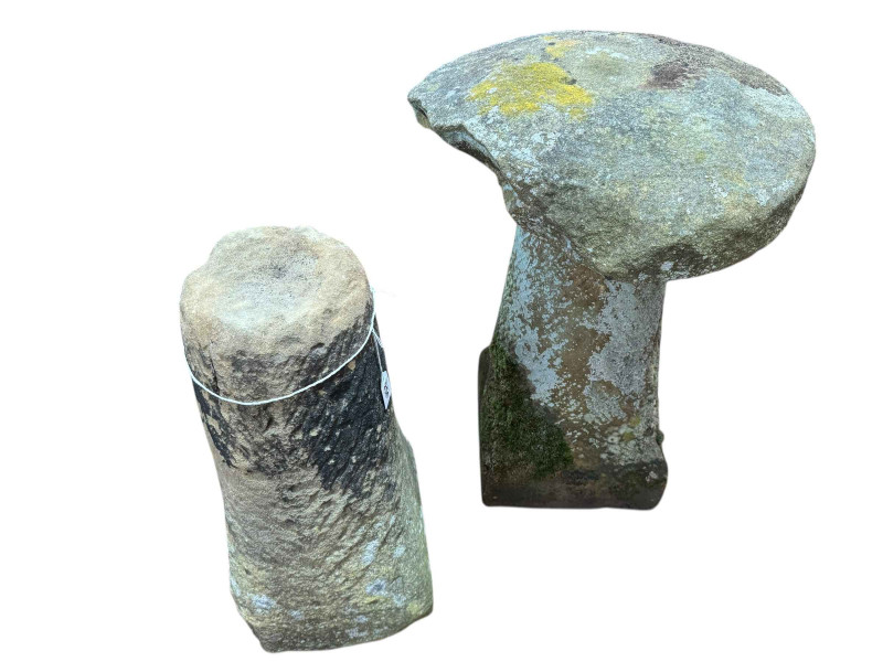 Pair weathered staddle stones, one lacking top.