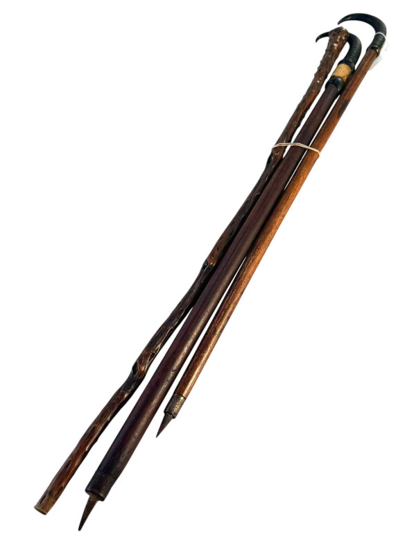 Two horn handled and other walking sticks (3).