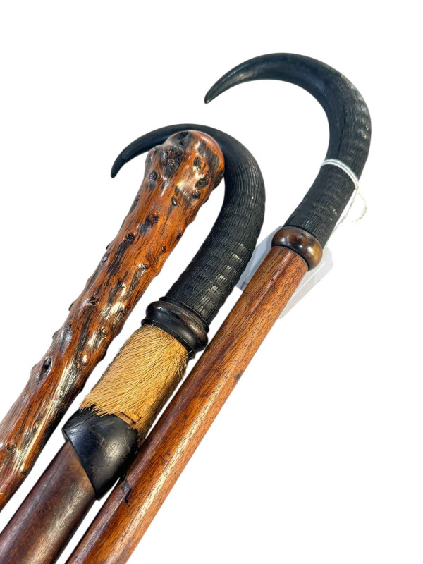 Two horn handled and other walking sticks (3).