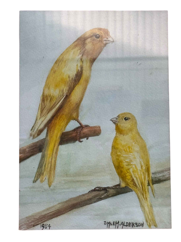 DM and EM Alderson, two canaries on branches, watercolour, signed and dated 1984, 23 x 16cm, in pine frame.