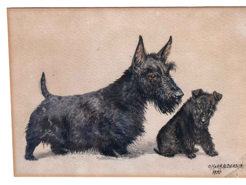 DM & EM Alderson, Scottish Terriers, watercolour, signed and dated 1970 lower right, 20cm by 29cm, framed.