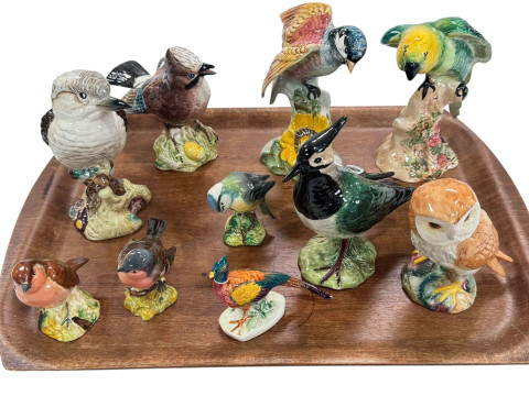 Ten Beswick birds including Jay, Lapwing, Parrot and Chickadee.