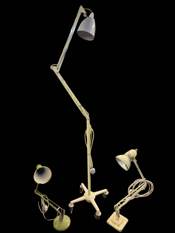 Angle Poise standard lamp and two Angle Poise desk lamps.