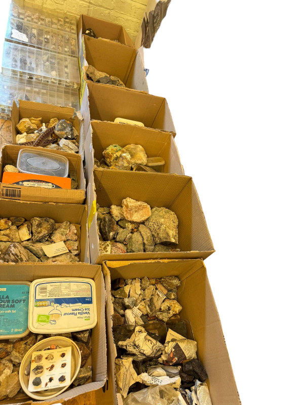 Large collection of mineral stones in boxes and display cases.