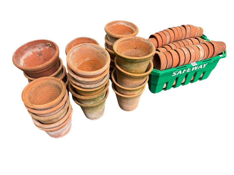 Collection of over 100 terracotta plant pots.