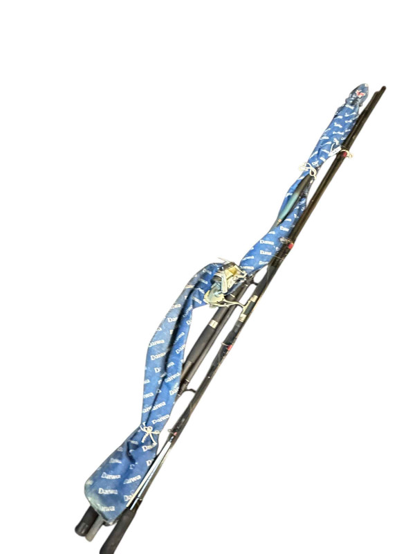 Daiwa 12ft Beachcaster rod and Shakespear design Odessa 13ft Beachcaster rod with reel.