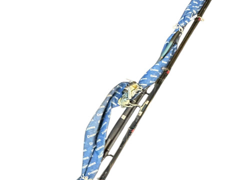 Daiwa 12ft Beachcaster rod and Shakespear design Odessa 13ft Beachcaster...