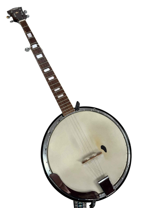 A Sheltone banjo.
