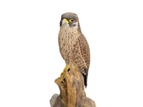 Wedgwood The Raptors Collection, The Peregrine Falcon number 37/100, boxed...
