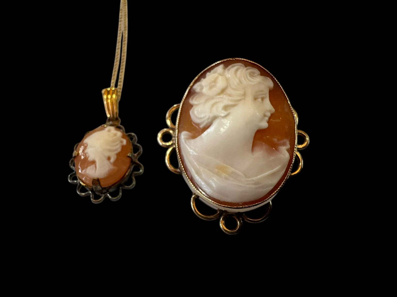 9 carat gold mounted cameo brooch and 9 carat gold necklace with cameo pendant (2).