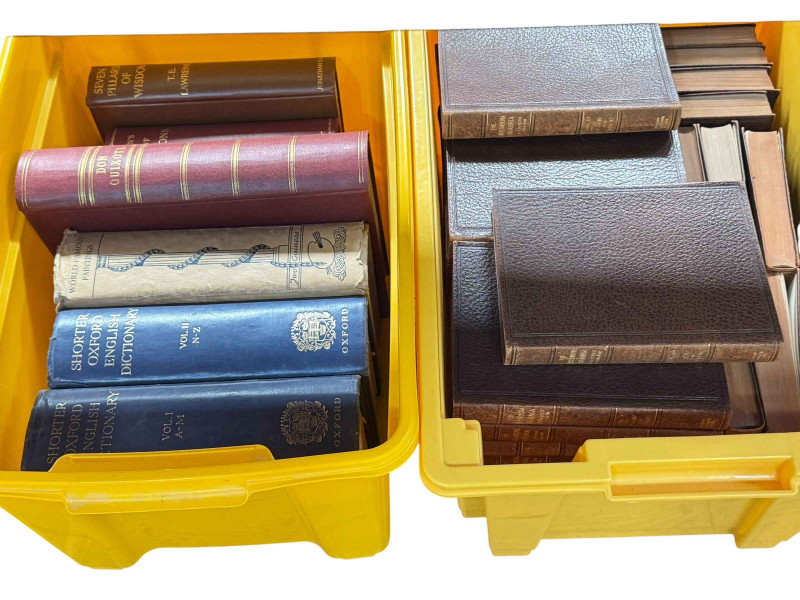 Books including Dore Gallery, Don Quixote and Encyclopedia Britannica.