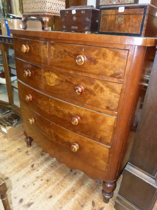Victorian mahogany bow front chest of two short above three long drawers on turned legs