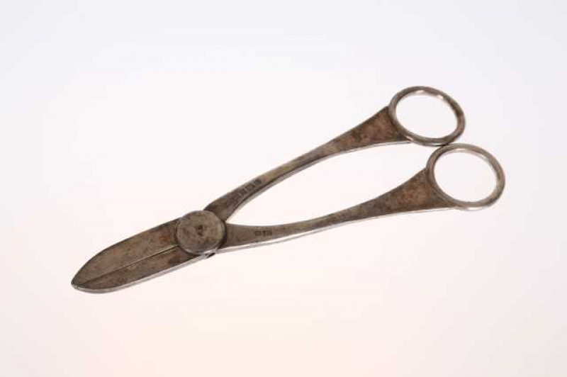 A pair of silver grape scissors, Birmingham 1998, of simple form. Approximately 3.7 troy ozs, 17.5cm