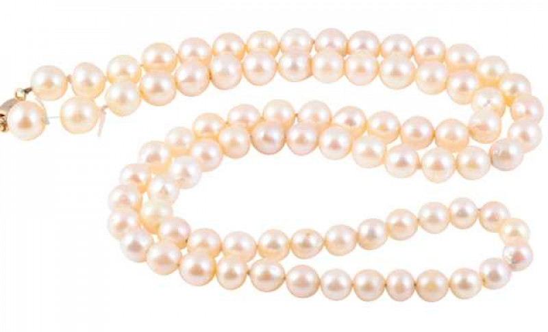 A cultured pearl necklace, the single strand of eighty three slightly graduating cultured pearls strung simply onto a yellow gold lobster catch. Catch stamped 375. Length approx. 35cm. Weight approx. 69.6gms.