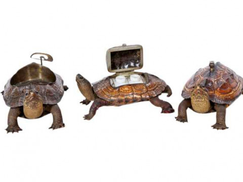 Taxidermy: An interesting group of three turtle desk pieces, late 19th/early...