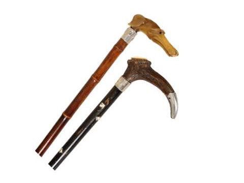 A horn handled walking stick, the handle carved as the head of a greyhound;...