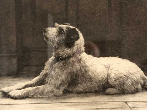 Herbert Thomas Dicksee (1862-1942), The Closed Door, signed in pencil,...