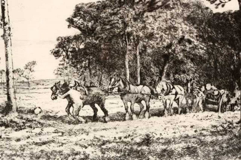 David Thomas Robertson (1879-1952), Timber wagon, signed in pencil, etching, framed. 22cm by 37cm