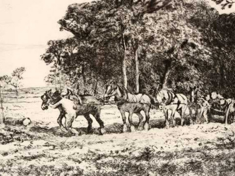 David Thomas Robertson (1879-1952), Timber wagon, signed in pencil, etching,...