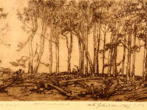 Jessie Constance Alicia Traill (Australian, 1881-1967) and W.K. Johnson,...