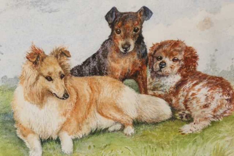 Dorothy Margaret & Elizabeth Mary Alderson (1900-1992) (1900-1988), Study of three dogs, signed and dated 1967 lower right, watercolour, framed, 17.5cm by 25cm; together with a set of four floral still life prints after D.M. & E.M. Alderson, framed as one