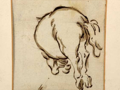 Study of a horse, possibly 17th or 18th century, pen/ink and wash, framed....