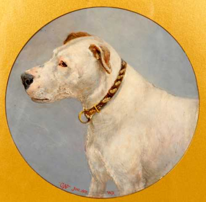 English School, 'Gap', study of a dog, signed with a monogram WJH, titled and dated June 1903, circular oil, framed. 28.5cm