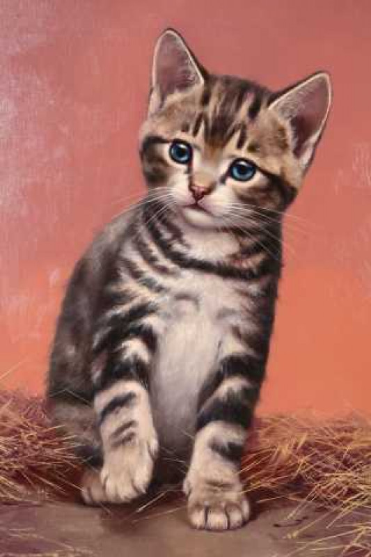 *** Radnai (20th century), Three studies of cats, each signed, oil on panel, framed. Largest 29cm by 23cm  Provenance: Marble Arch Art Gallery, London