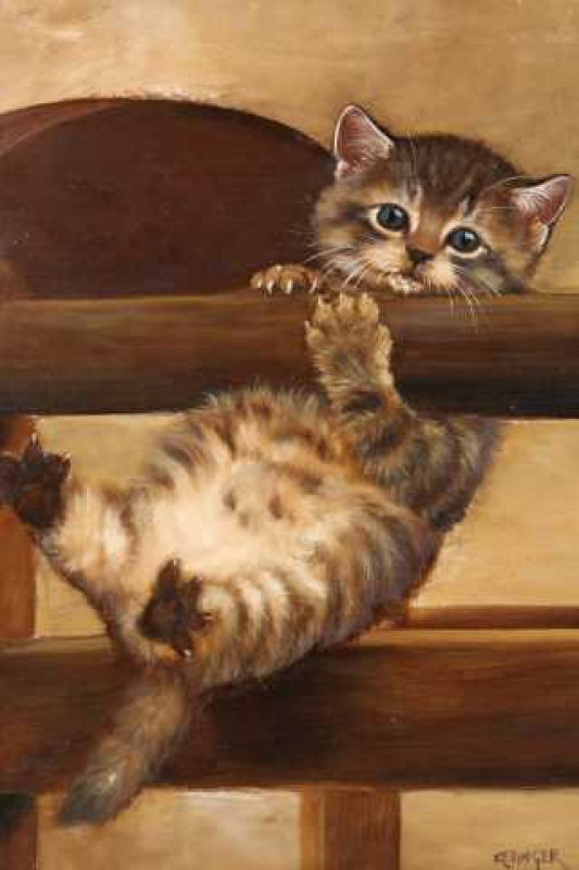 *** Kettinger (20th century), Three studies of cats, each signed, oil on panel, framed. Largest 23cm by 17cm  Provenance: Marble Arch Art Gallery, London