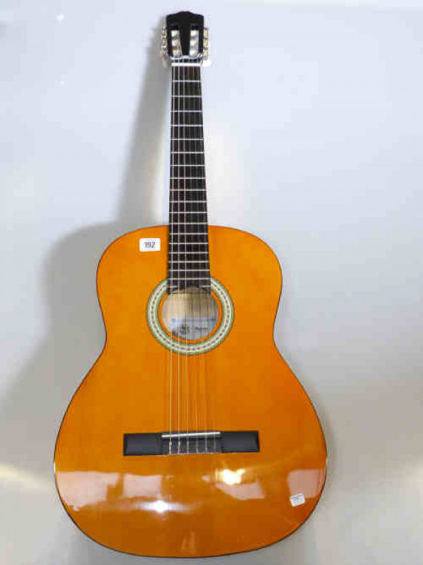 Messina acoustic guitar and bag
