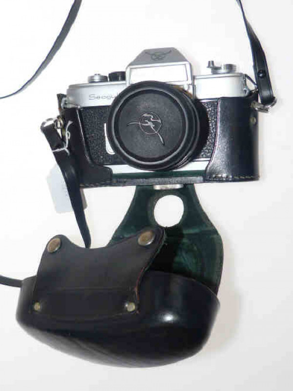 Reflex Seagull camera and case