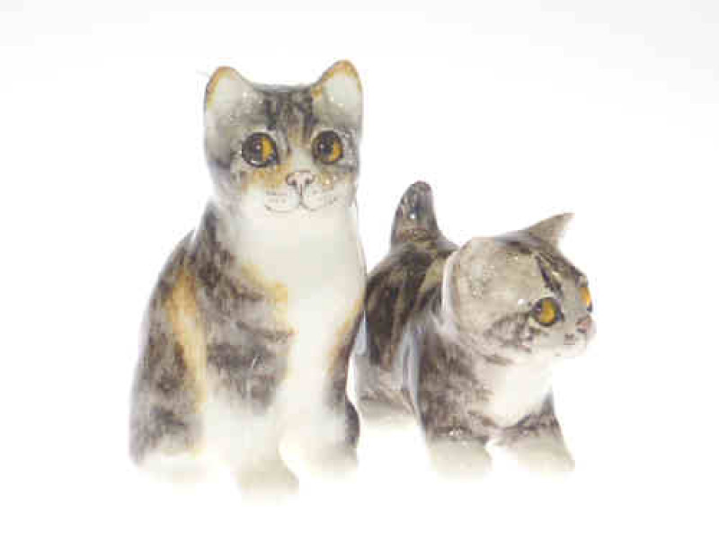 Two Winstanley cats, size 1
