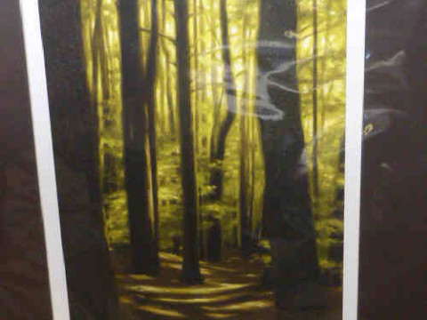 Laura Wilder, Wood I, signed, titled and numbered 37/200, print, unframed