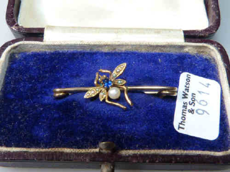 Victorian insect brooch
