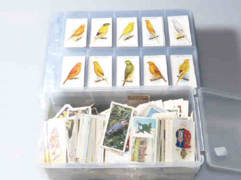 Collection of cigarette cards